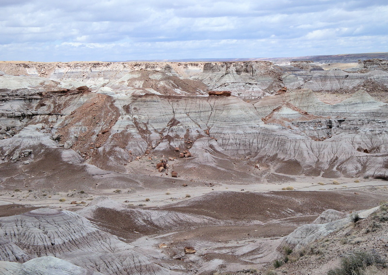 arid climate, rock - object, nature, solid, petrified, landscape, quarry, usa, day, land, arizona, physical geography, eroded, beauty in nature, araucarioxylon arizonicum