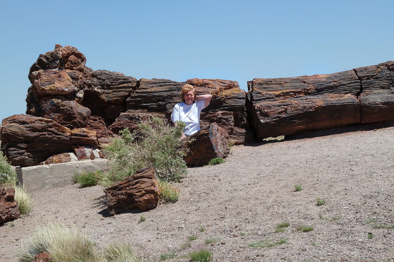 Petrified, one man only, solid, one person, rocks, park, hot, fossil wood, petrified wood, desert, sunlight, plant, 720P, scenics - nature, adult, dry