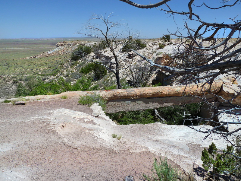 tranquility, travel Locations, stony wood, petrified forest national park, scenery, silicified wood, landscapes, land, no People, fossil wood, tranquil scene