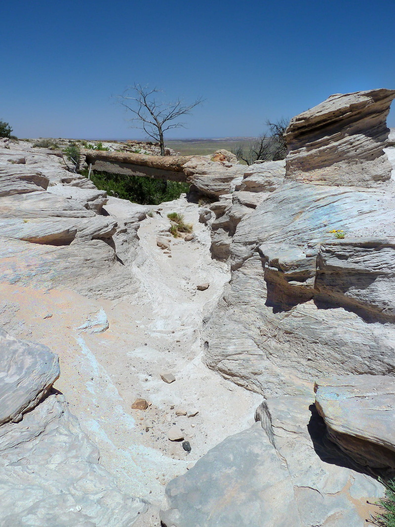 720P, desert, day, tranquil scene, national, tranquility, nature, park, outdoors, Petrified Forest National Park, hot, no people, physical geography, usa