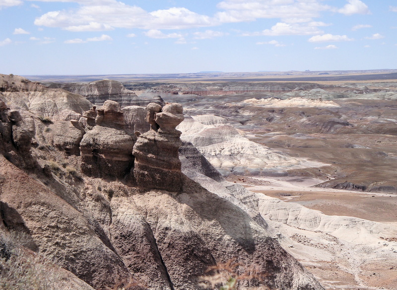 outdoors, petrified forest national park, usa, arid climate, national park, land, arizona, environment, tranquil scene, petrified trees, solid, physical geography