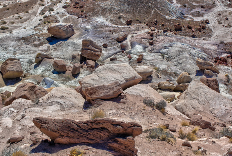 non-urban scene, sand, geology, day, rock formation, beach, group of animals, solid, arizona, land, rock - object, nature, stone - object, no people, stone