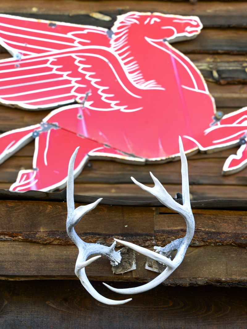 snake, red, antlers, barnwood, mobil, close-up, still life, focus on foreground, history, 5K, us, holiday, craft, table, white color, flying horse, day