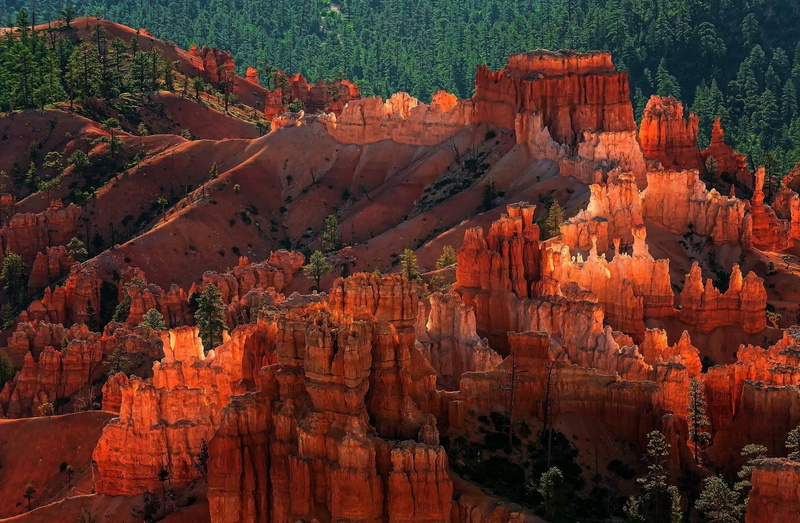 1080P, Utah, Mountain, National Park, Forest, Bryce Canyon National Park