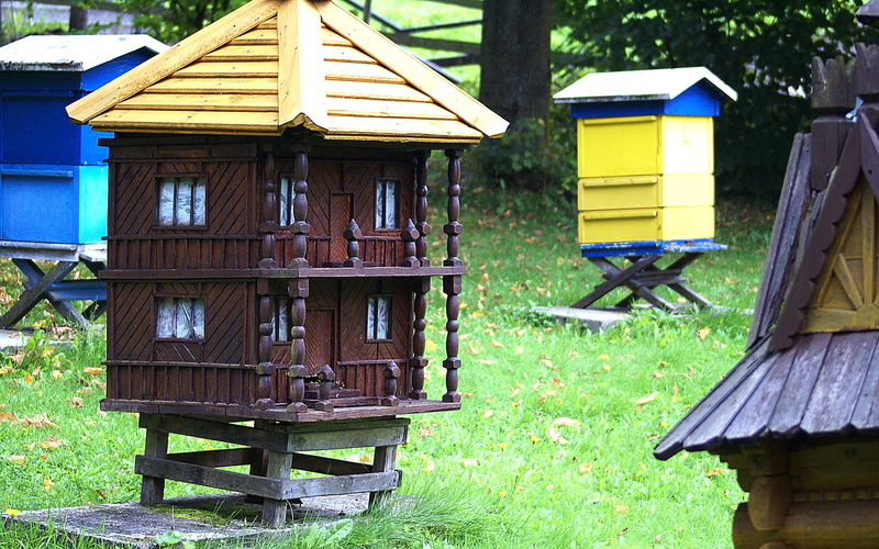 honeycomb, growth, insects, wooden beehives, field, no people, wood - Material, 2K, yellow, beauty in nature, outdoors, box, beehive, bee, nature, beekeeping