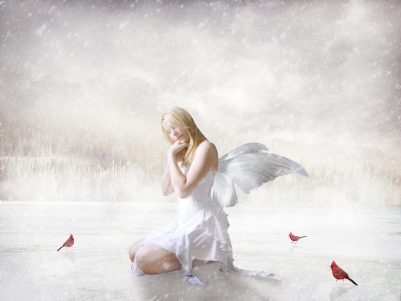 birds, 3d and abstract, frozen, fantasy, fairy, girl, white, lake, 1080P, wings