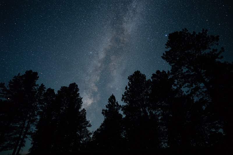 tree, outer space, astronomy, coniferous tree, photography, space and astronomy, 5K, angel fire new mexico, space, starry sky, star - space, plant, new mexico