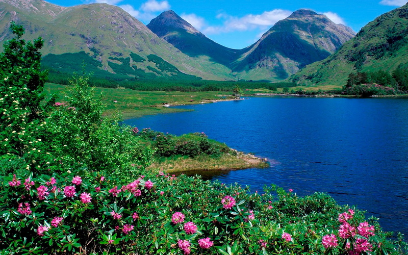 green Color, greens, slopes, non-urban scene, flower, beauty In Nature, flowers, reflection, lake, grass, river, tranquility, hill, idyllic, scenics, travel