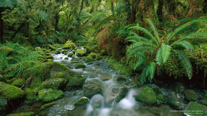national, 2K, zealand, fjordland, Oceania, park, new