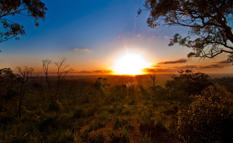 environment, Australian, Landscape, tranquil scene, sunlight, 2K, lens flare, nature, tree, sun, sunset, outdoors, sunbeam, no people, cloud - sky, idyllic
