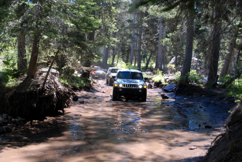 h, day, transportation, land, car, manu, hummer, plant, wet, motor vehicle, tree, outdoors, forest, no people, land vehicle, nature, concept, road, x, direction