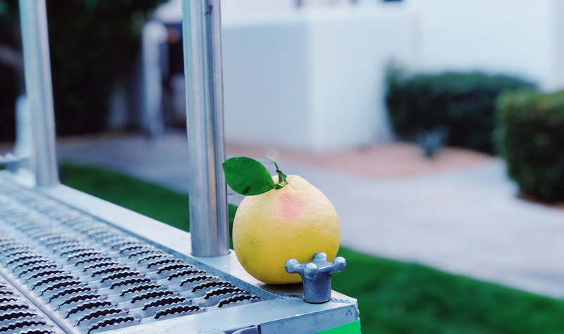 food, apple - fruit, 49499 eisenhower dr, freshness, no people, architecture, focus on foreground, 4K, close-up, healthy eating, la quinta, footpath, day