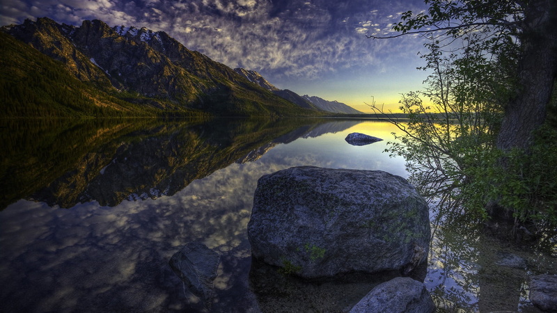 tree, solid, scenic, tourism, coastline, outdoor, 1080P, beach, vacation, forest, reflection, water, cloud, sun, plant, shore, sky, nature, rock - object