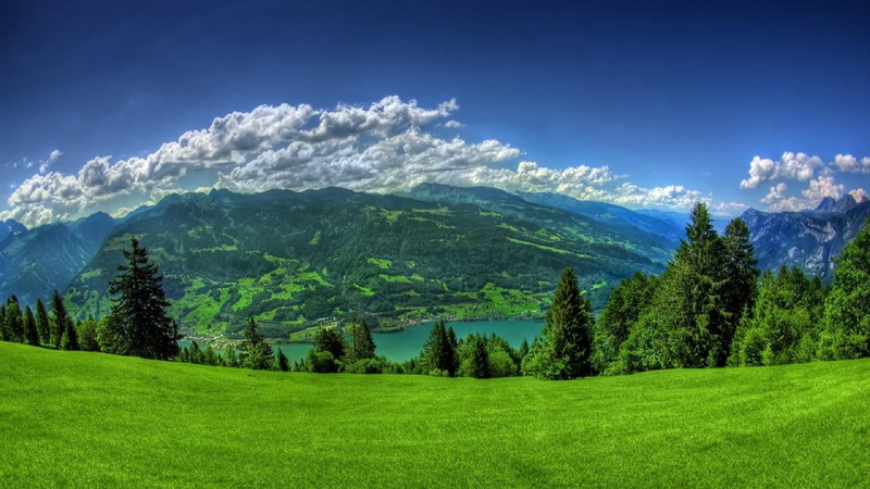 non-urban scene, sky, tree, no people, grass, coniferous tree, growth, green color, 1080P, trees, pine tree, mountain, beauty in nature, clouds, nature