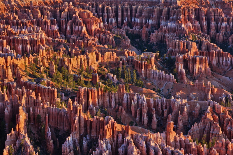 1080P, trees, Bryce Canyon National Park, mountains, USA, rocks, Utah