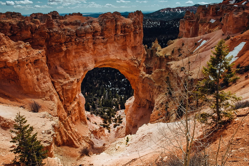 arid climate, erosion, natural arch, landscape, bryce canyon, plant, 1080P, hoodoo, eroded, outdoors, travel, stone, idyllic, non-urban scene, formation