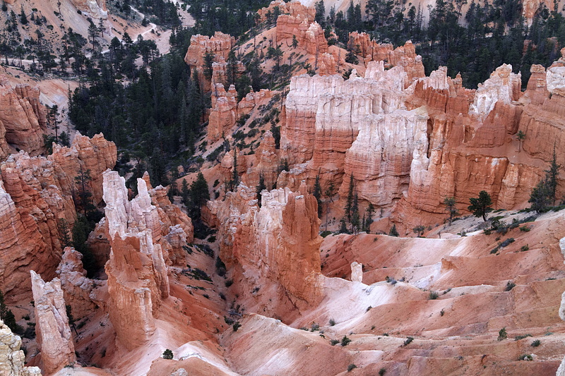 paunsaugunt plateau, non-urban scene, bryce Canyon National Park, gorge, outdoors, national Park, travel, uSA, tourism, travel destinations, eroded, tranquil scene