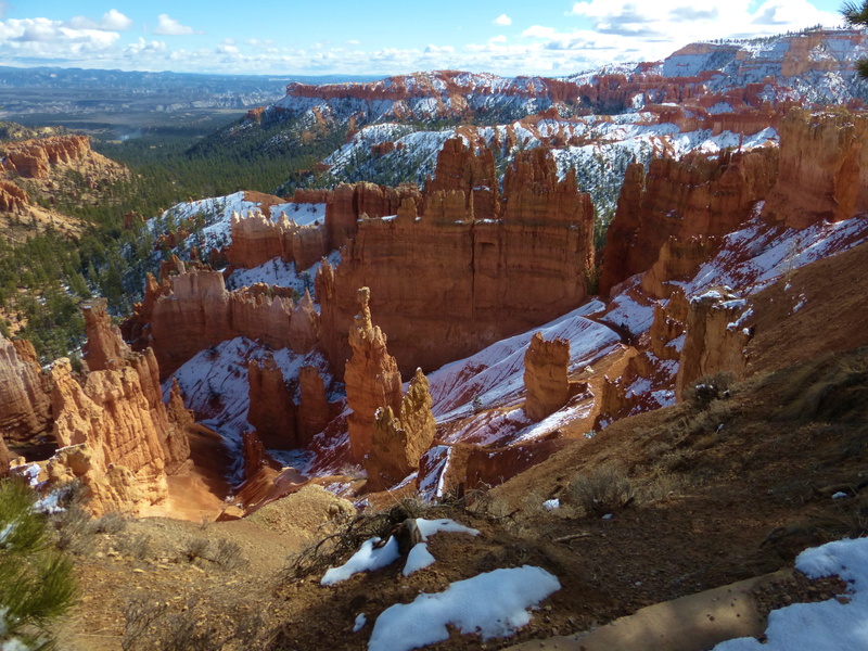 sandstone, day, eroded, snow, tree, Bryce, southwest USA, Usa, landscape, beauty In Nature, winter, bryce Canyon National Park, mountain, rock formation