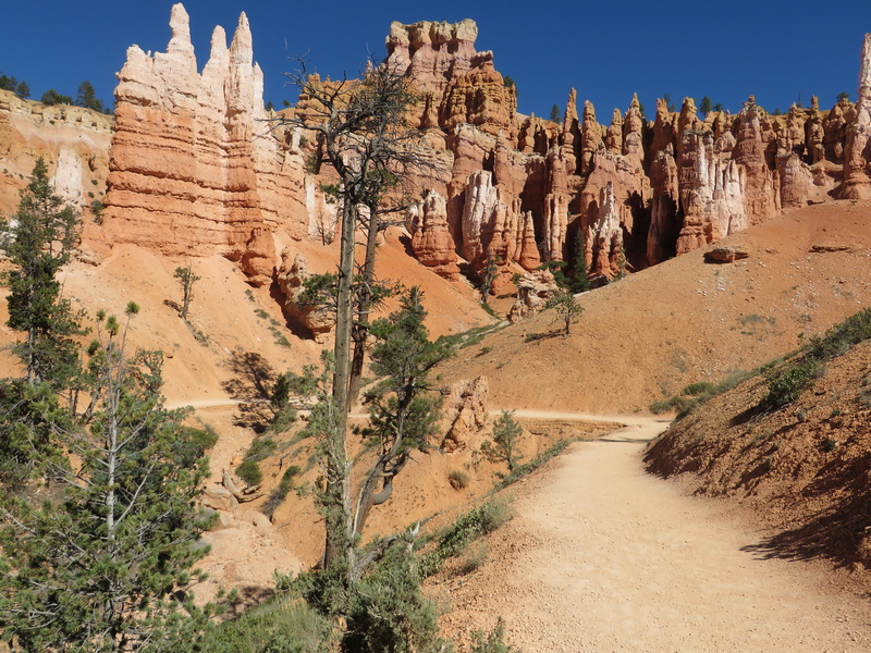 tranquility, rock formation, dry, 4K, outdoors, hoodoos, rock - object, travel, bryce, no people, southwest, environment, plant, beauty in nature, formation