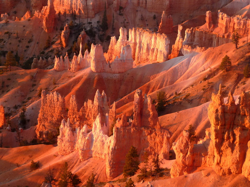 tranquility, rock - object, travel destinations, national park, non-urban scene, rock hoodoo, red rock, geology, physical geography, bryce canyon, outdoor