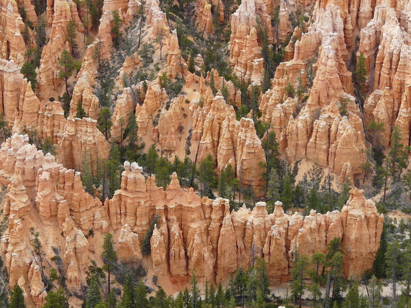 utah, tranquil scene, nature, travel destinations, bryce, eroded, rock - object, tranquility, paunsaugunt plateau, gorge, park, landscape, tourism, bryce canyon