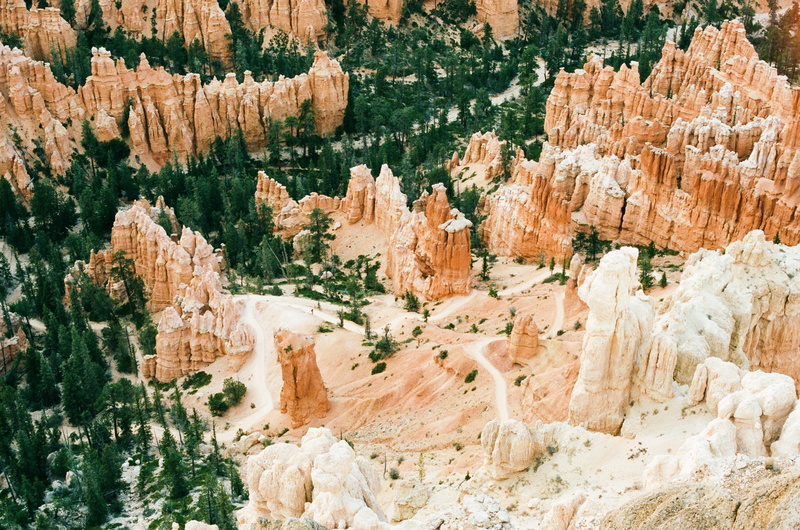 brown, surrounded, rock, plant, 35mm camera, film, landscape, mountain, scenics - nature, day, travel, view, travel destinations, rock formation, slope