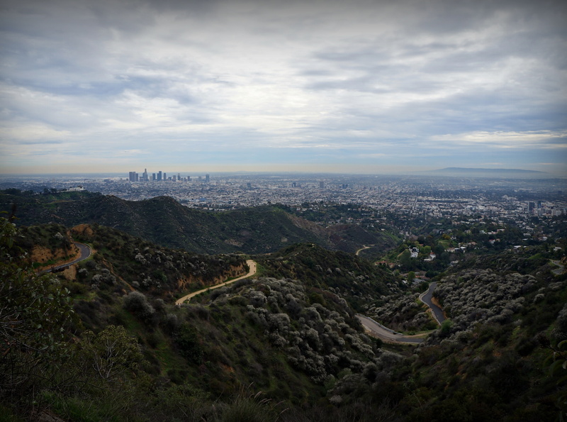 angeles, city, losfeliz, beauty in nature, United States, outdoors, tree, brush, los, nature, cloud - sky, 4K, plant, building exterior, high angle view