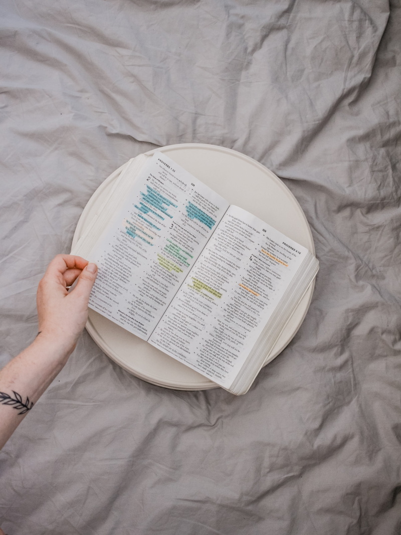 wood, 4K, hand, plot, bed, one person, body part, book, glass, indoors, frisbee, plywood, real people, white, human body part, browsing, skin, human hand