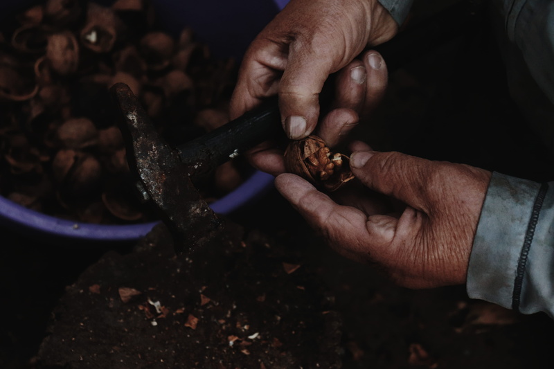 road, skill, real people, coin, goblet, glass, indoors, nut, grain, human, occupation, hand, workshop, close-up, focus on foreground, preparation, 5K