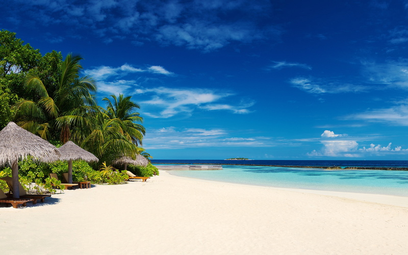 palm trees, landscape, tropical, beach, 2K, summer, Maldives, sea, island, nature, sand, resort, white