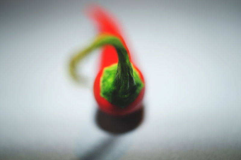 studio shot, no people, pepper, temptation, colors, single object, close-up, chili pepper, macro photography, freshness, 5K, vegetable, fruit, food and drink