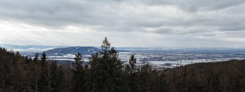 cold temperature, pine woodland, plant, landscape, coniferous tree, outdoors, tranquility, land, cloud - sky, trees, tree, 8K, hills, poland, no people