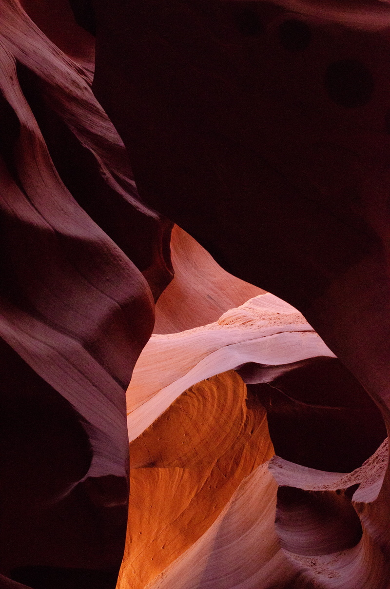nebula, human, day, antelope canyon, rock formation, canyon, national park, crypt, universe, space, cave, gradients, flower, no people, natural condition