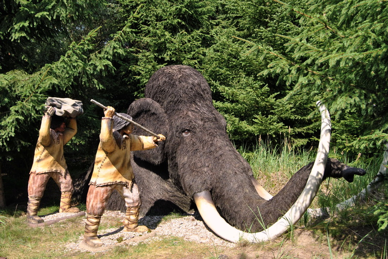 one animal, mammal, animals in the wild, primeval park, herbivorous, land, woolly, forest, domestic animals, nature, elephant, animal themes, day, animal sculpture