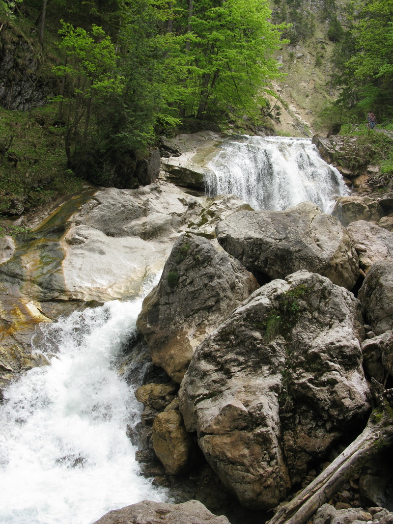 beauty in nature, waterfall, germany, primeval force, rainforest, water, power in nature, plant, rock, 4K, falling water, rock formation, long exposure
