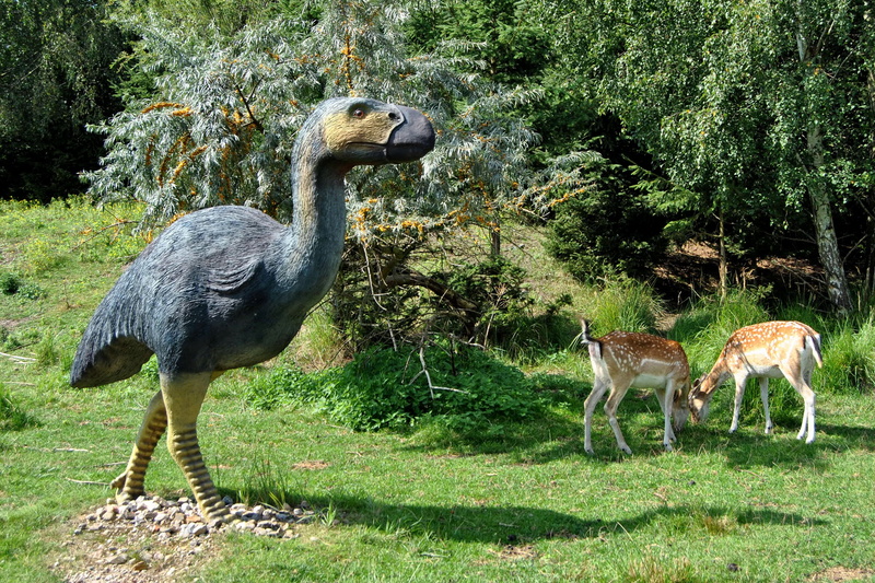 bird, beauty in nature, primeval park, primitive bird, animal themes, domestic animals, nature, firs, plant, tree, animal sculpture, urzeittier, field