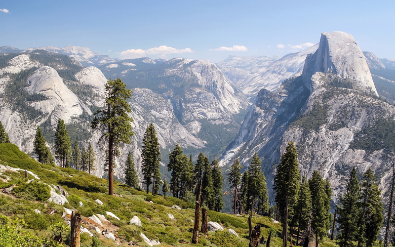 nature, coniferous tree, scenics - nature, snow, beauty in nature, non-urban scene, forest, mountain peak, rock, 2K, snowcapped mountain, plant, idyllic