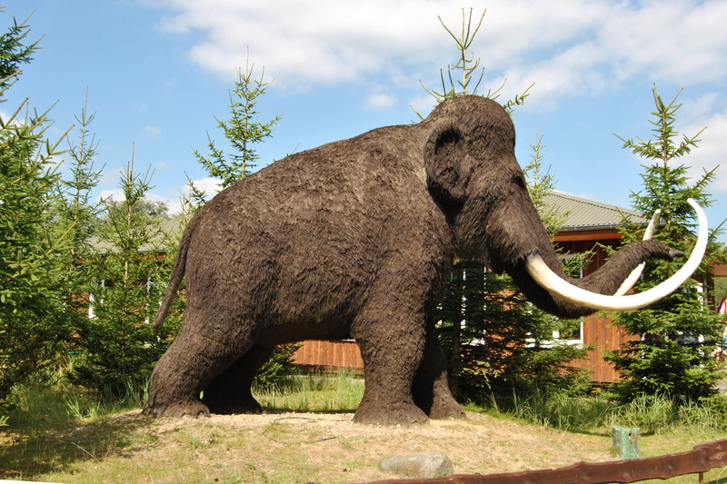 vertebrate, firs, standing, no people, day, urzeittier, sky, trees, wool mammoth, one animal, plant, theme park, tree, Sculpture, 2K, animal trunk, animal themes