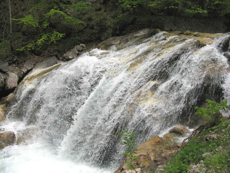 no people, scenics - nature, falling water, bavaria, kristin, waterfall, poellatklamm, plant, rock, power in nature, long exposure, nature, land, blurred motion