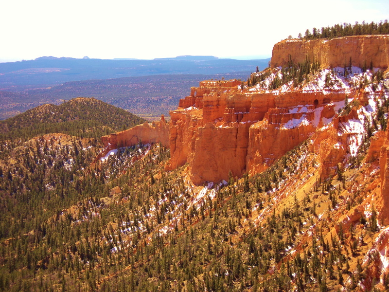 tranquil scene, united, bryce canyon, erosion, travel destinations, red, tourist, scenery, architecture, valley, day, 2K, mountain, plant, america, tree