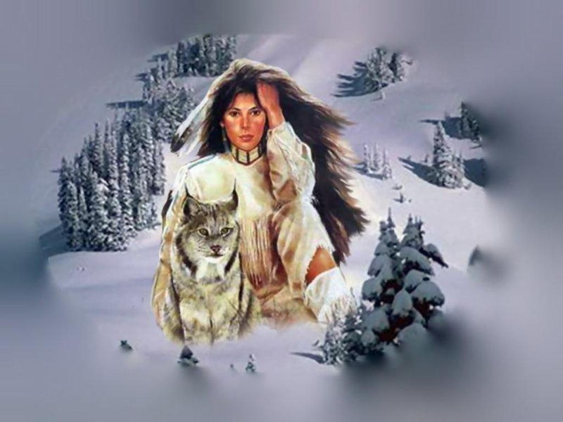 hd, Native American, art, 480P, snow, fantasy, abstract, Indian, wolf, woman, feather, american, native, brush