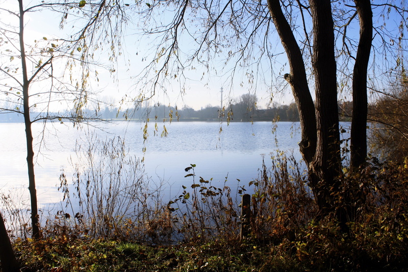 bremervörde, lake, outdoors, autumn, tree, sky, waters, no people, nature, beauty in nature, non-urban scene, reflection, landscape, plant, tranquil scene