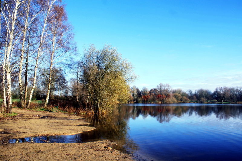 plant, atmospheric, blue, non-urban scene, reflection, 4K, bathing place, lake, lakeside, row, tranquil scene, autumn, tranquility, vörder lake, mirroring