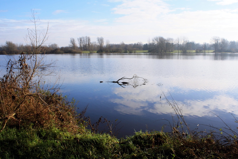 day, bird, vörder lake, sky, waters, animals in the wild, duck, indian summer, cloud - sky, landscape, vörder country, animal, plant, nature, row, animal wildlife