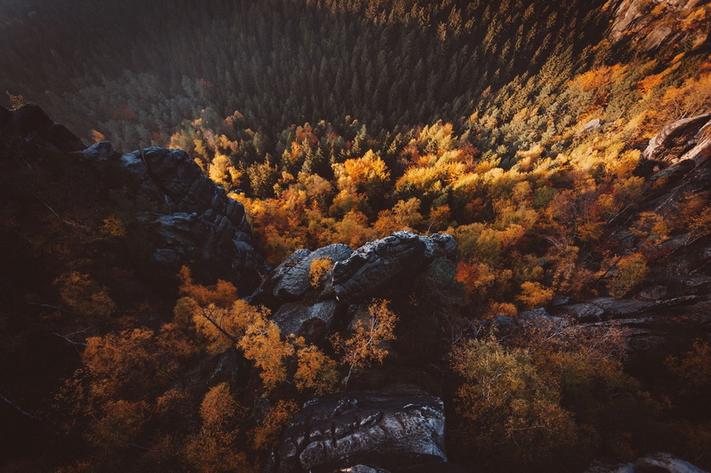fall, red leaves, aerial view, landscape, cliff, 1080P, forest