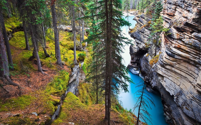 nature, Canada, 1080P, erosion, forest, water, grass, cliff, landscape, river, Alberta, rock, trees