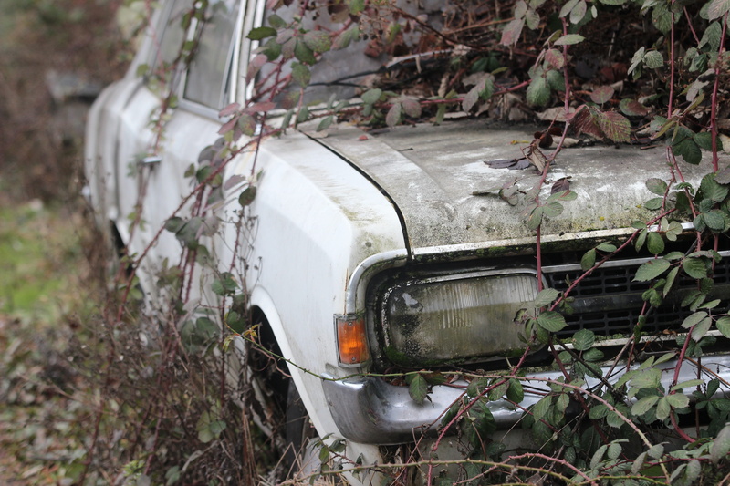 mode of transportation, land, dirty, nature, Car Wreck, forget, environment, plant, motor vehicle, transportation, land Vehicle, old, abandoned, Oldtimer