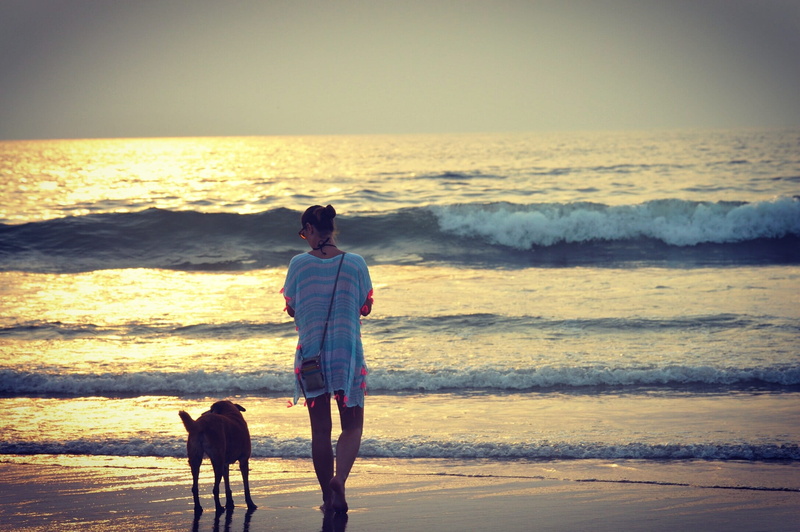 real people, outdoors, pets, sea, photography, 1080P, horizon over water, horizon, sky, rear view, travel, dog, pet owner, leisure activity, land, goa