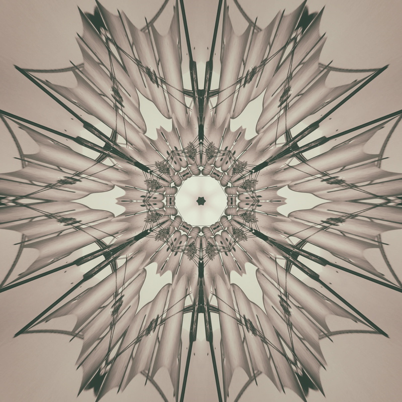 sheriff, web design, ornaments, shape, luxury, indoors, plant, artwork, circle, layout, glass - material, structure, directly below, chandelier, digital art