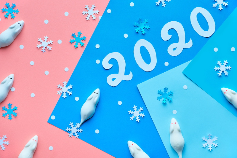 new year, snowflakes, rat, 5K, 2020